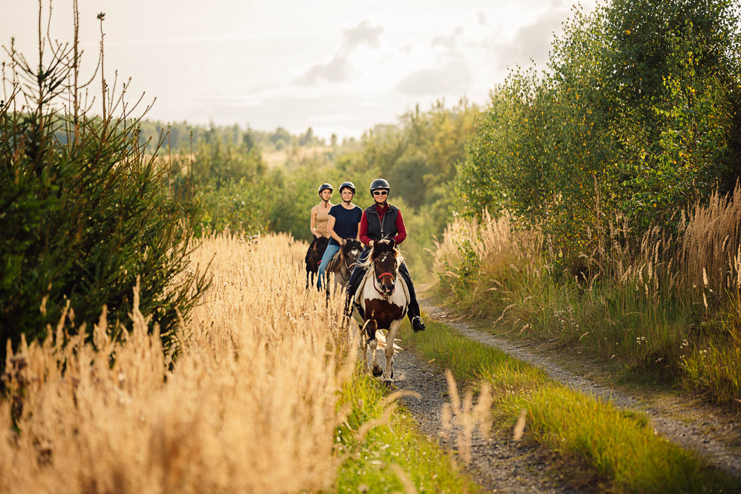Reiterhof ISI Rider in Balve im Märkischen Sauerland