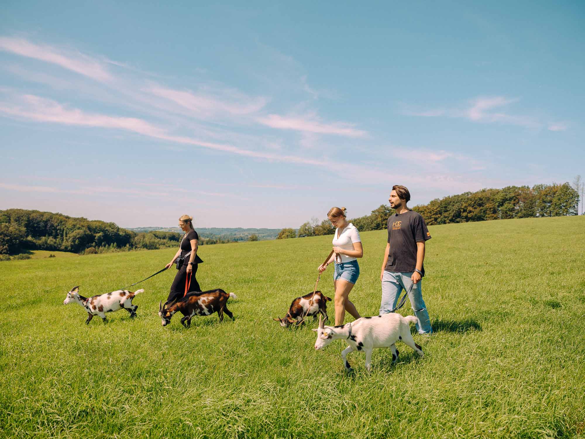 Wandern mit Ziegen mit Ziege2go in Schalksmühle im Märkischen Sauerland