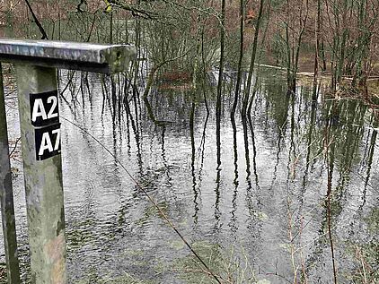 Der Jubach fließt in die Jubachtalsperre 