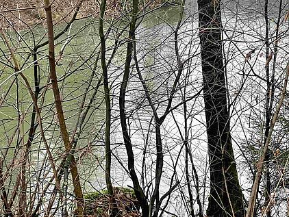 Moosgrüne Jubachtalsperre auf der Fitnesswanderung VolmeSchatz Talsperren