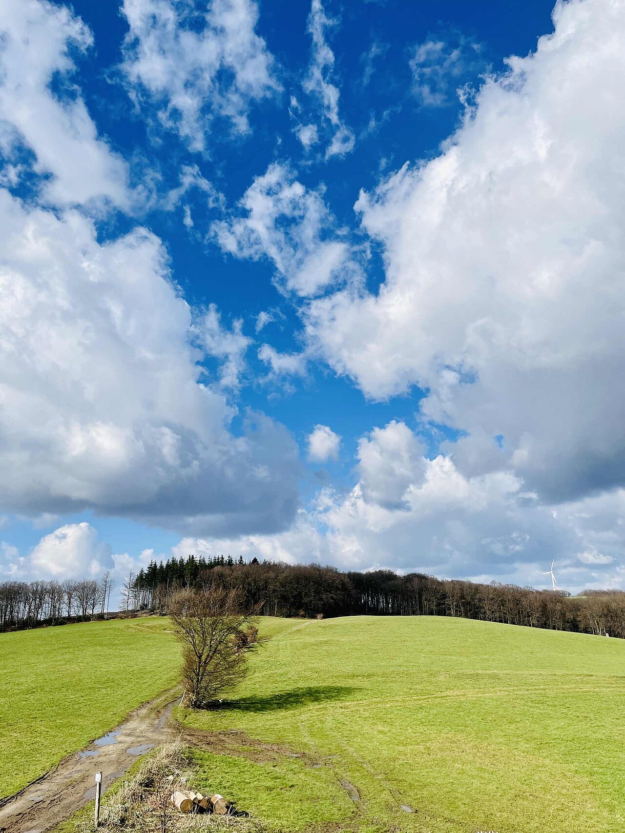 Welch ein unbezahlbarer Fernblick in die unbebaute Landschaft des Sauerlandes