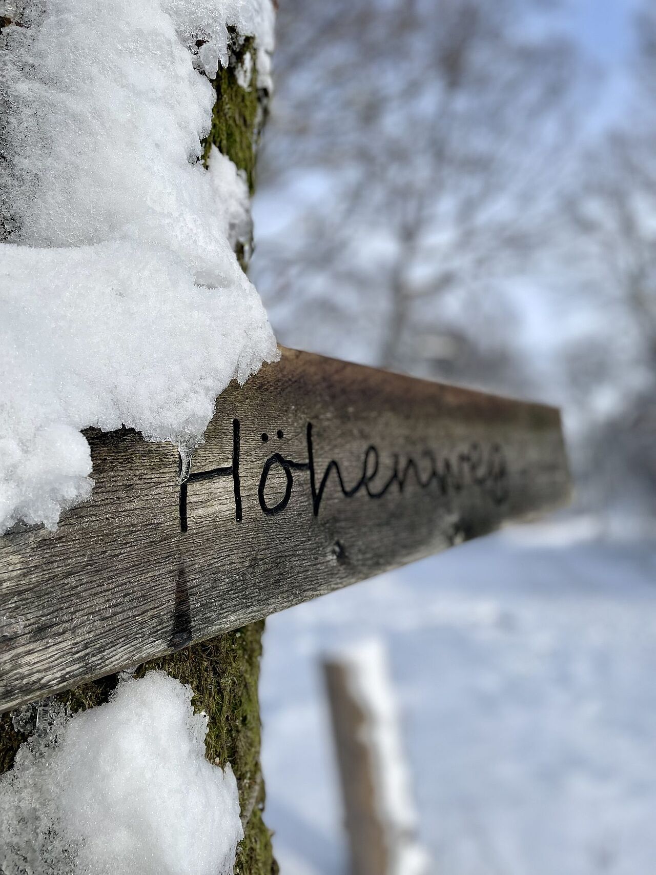 Wanderung auf dem Höhenweg