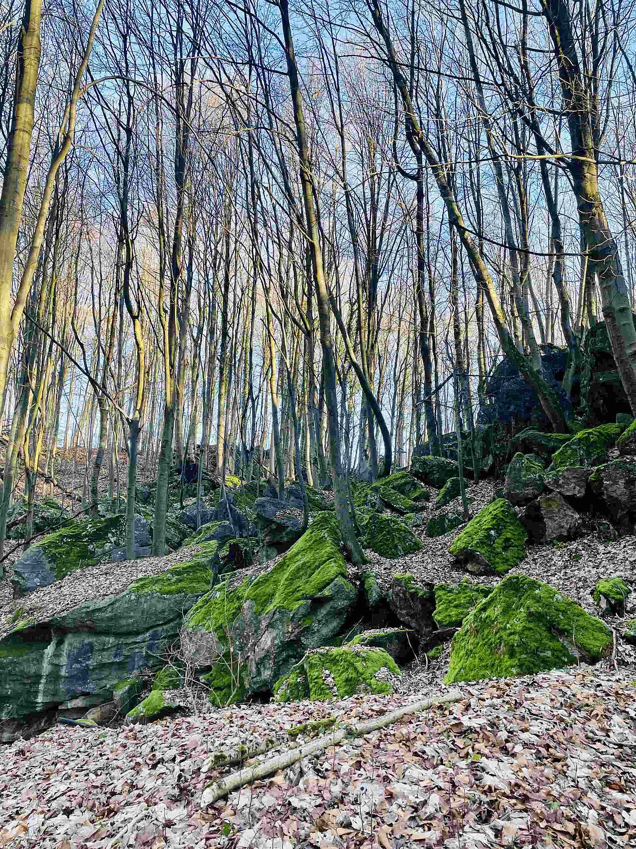 Das Moos auf den Felsen ermöglicht einen tollen Farbkontrast