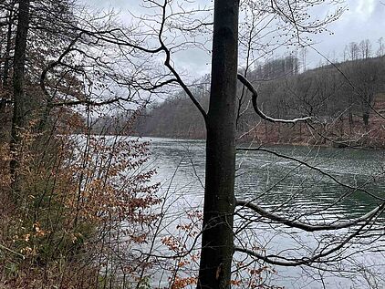 Smaragdgrünes Wasser der Jubachtalsperre auf der Fitnesswanderung VolmeSchatz Talsperren