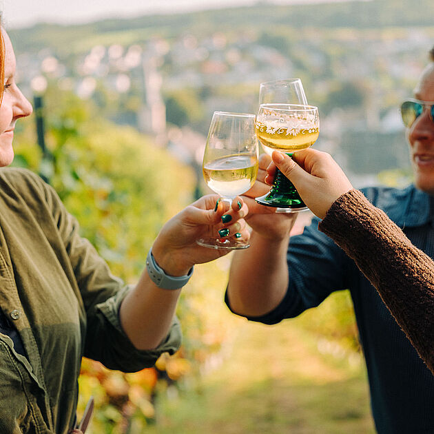 Weinberg Neuenrade im Märkischen Sauerland