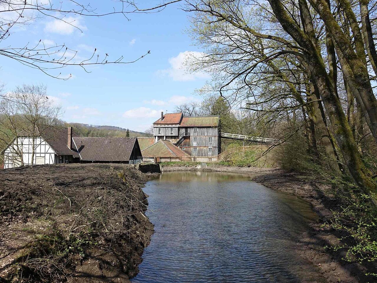 Hüttenteich der Luisenhütte in Balve