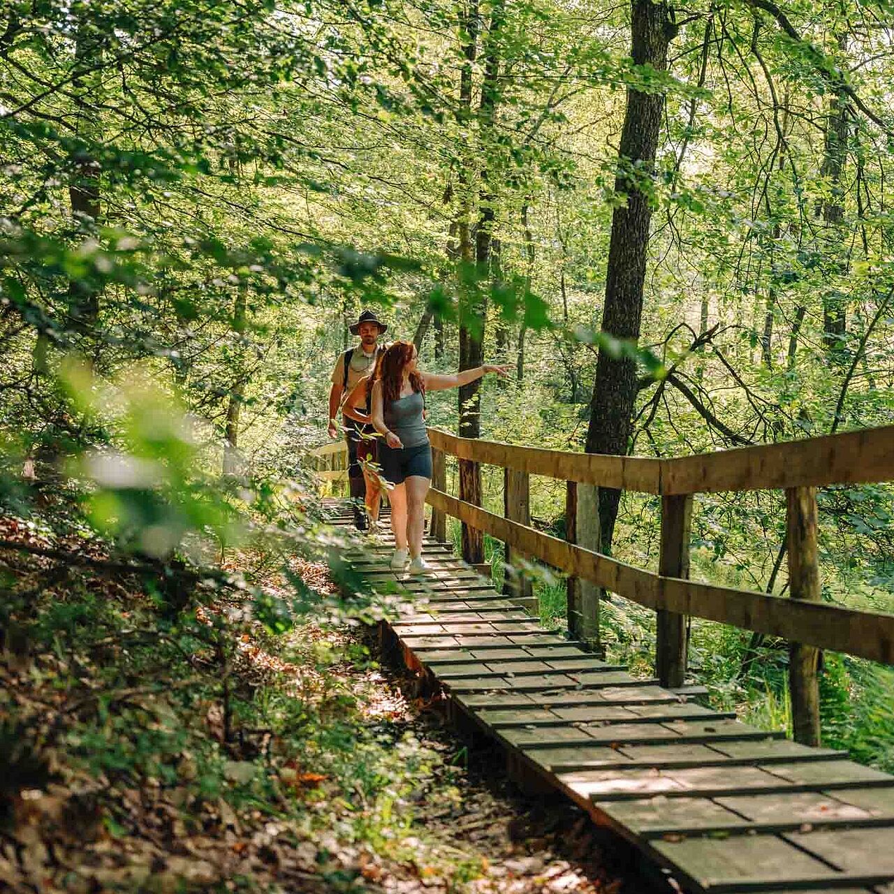 Wanderung mit Ranger auf dem Höhenflug im Märkischen Sauerland