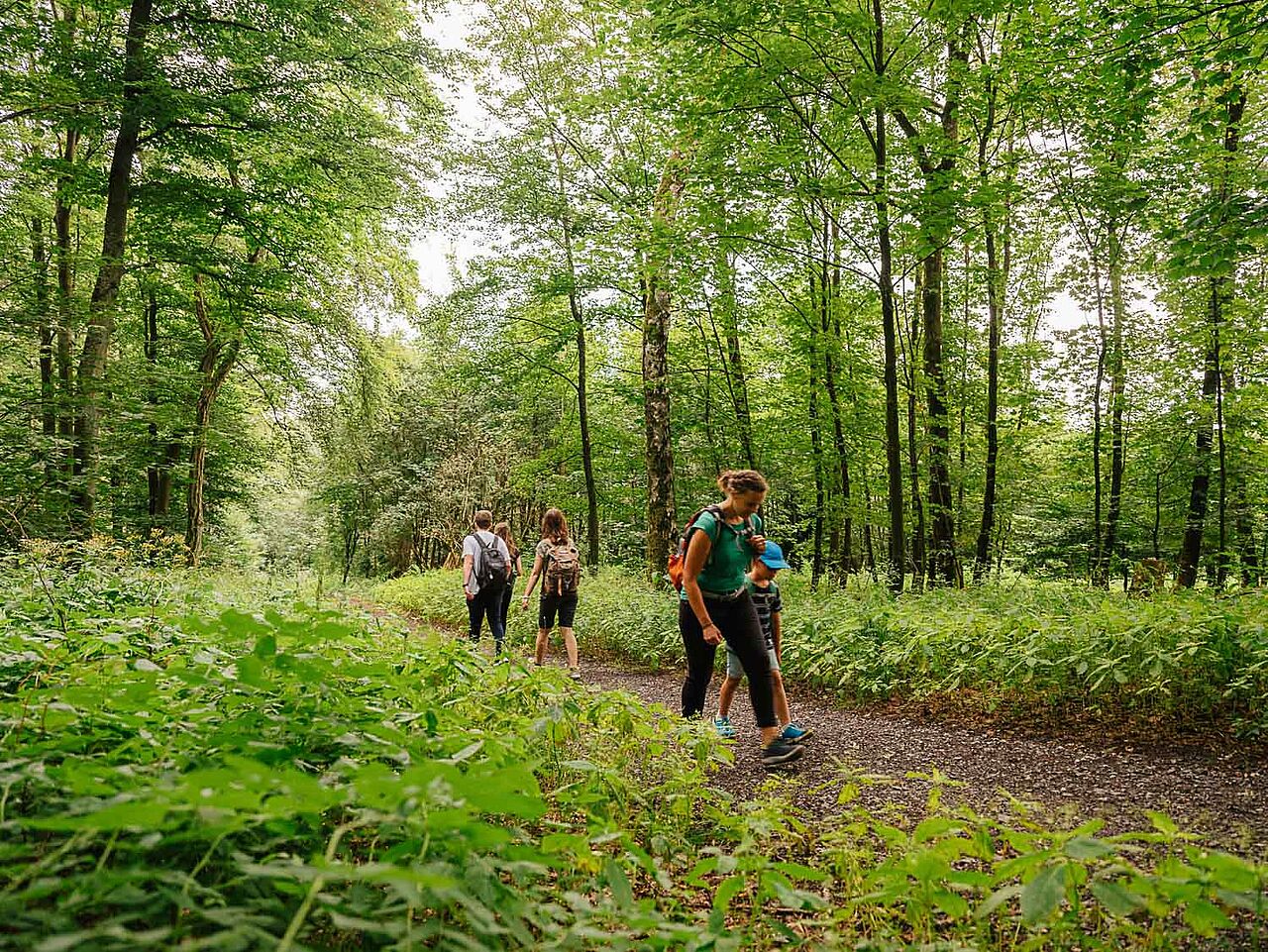 Dahthandelsweg Märkischer Kreis