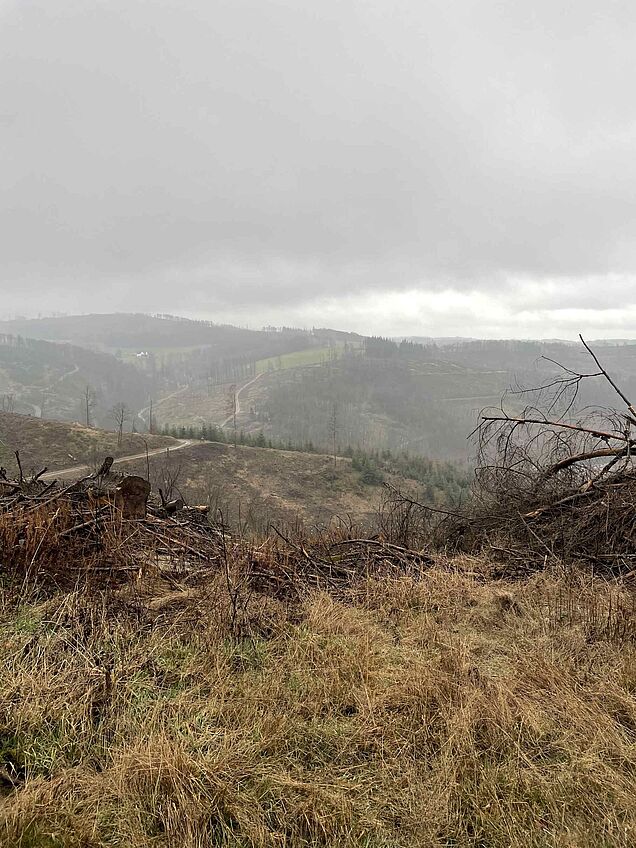 Aussicht Richtung Volmetal auf der Fitnesswanderung VolmetalSchatz Talsperren