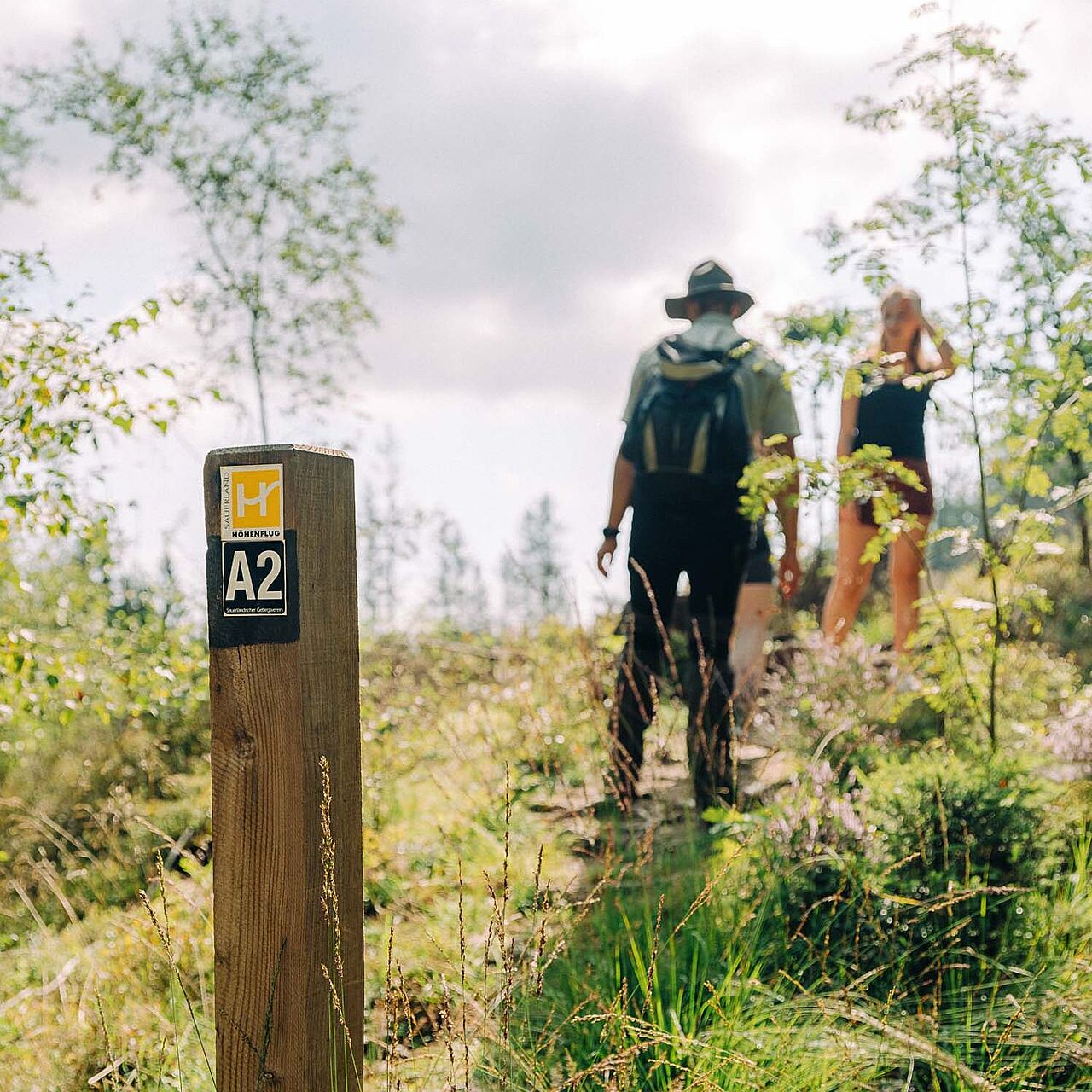 Wanderung mit Ranger auf dem Höhenflug im Märkischen Sauerland