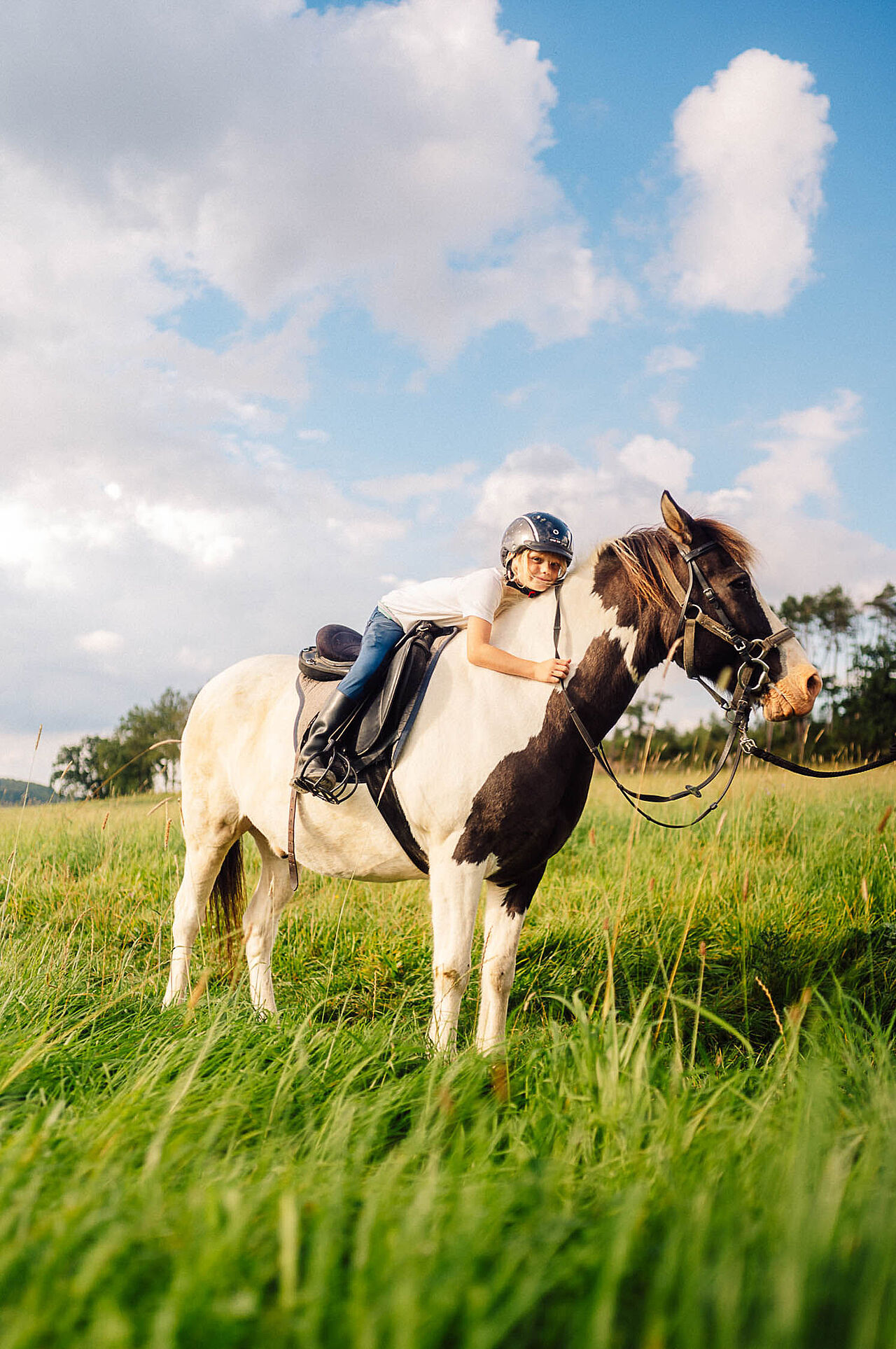 Reiterhof ISI Rider in Balve im Märkischen Sauerland
