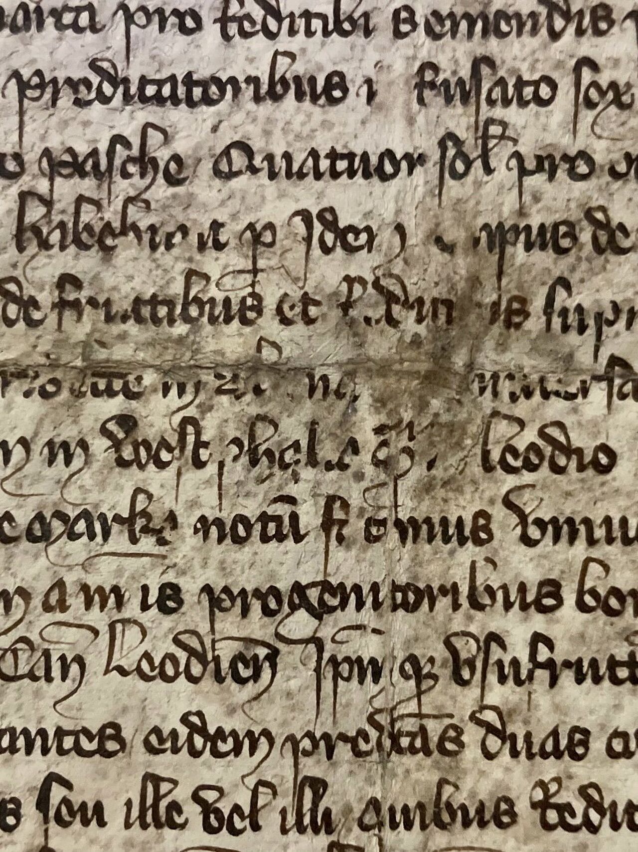 Man kann hier auch tolle Handschriftfragmente begutachten