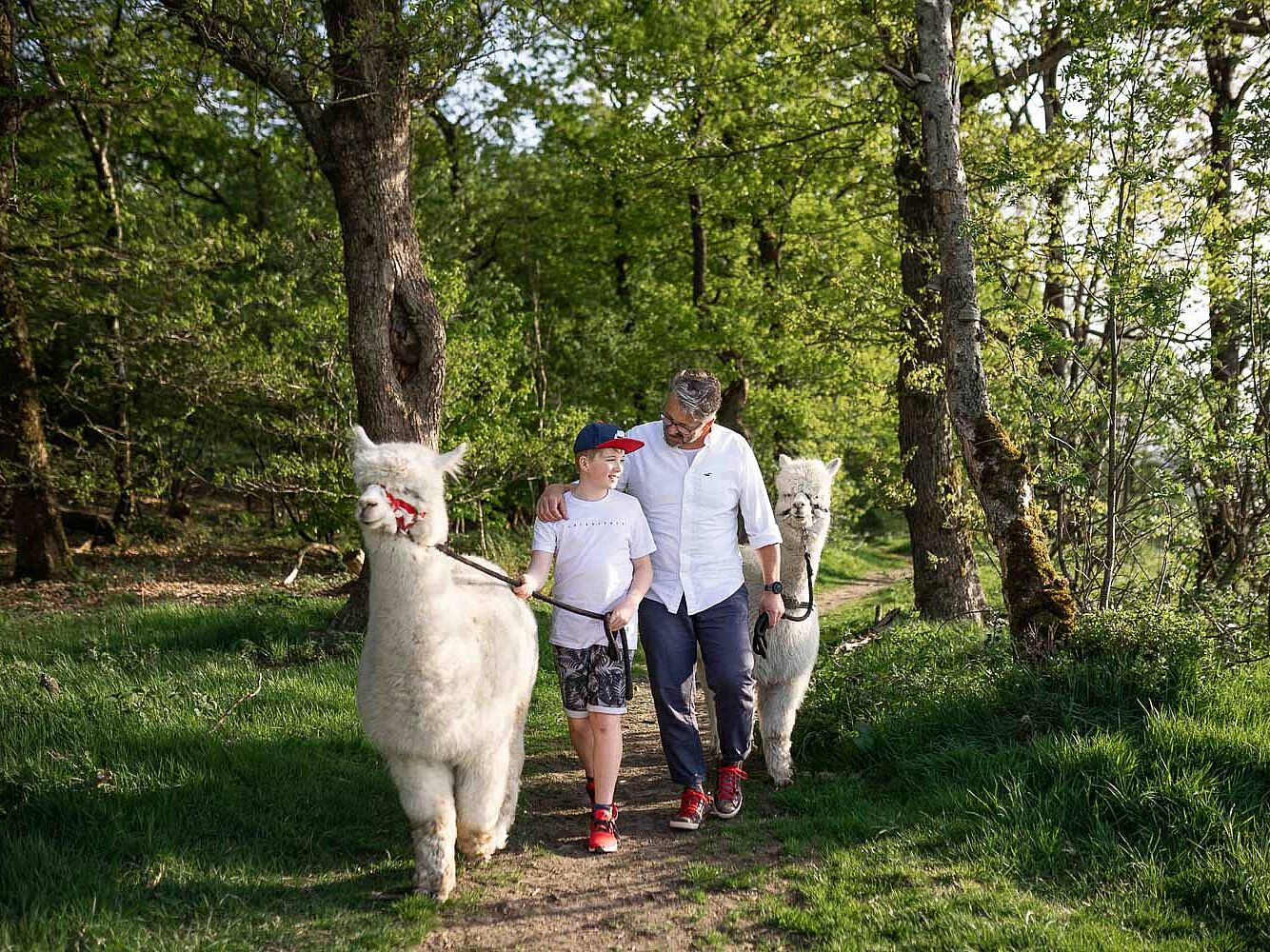 Alpakawandern mit den Höhendorf Alpakas im Märkischen Sauerland