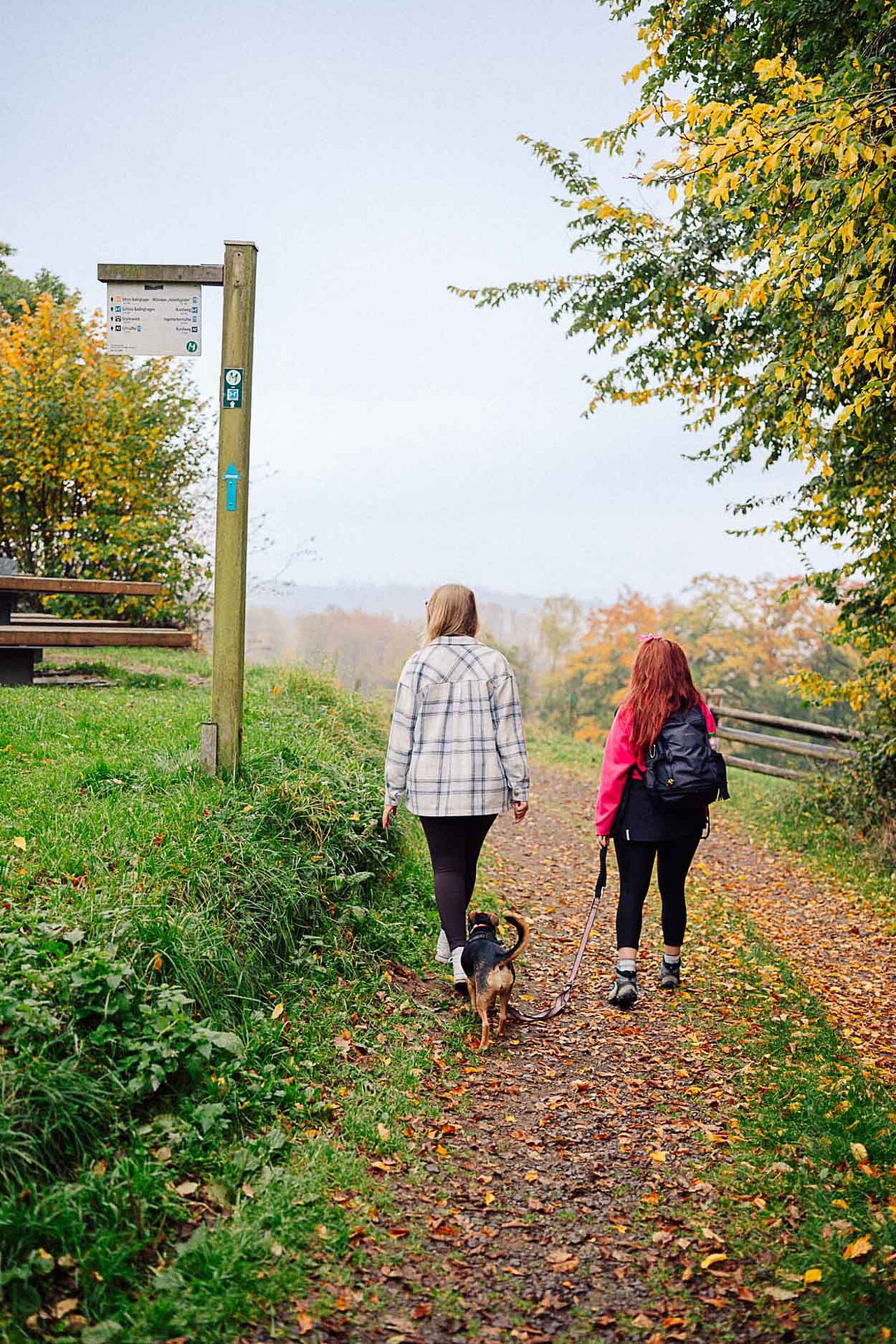 Wanderbares M in Meinerzhagen im Märkischen Sauerland