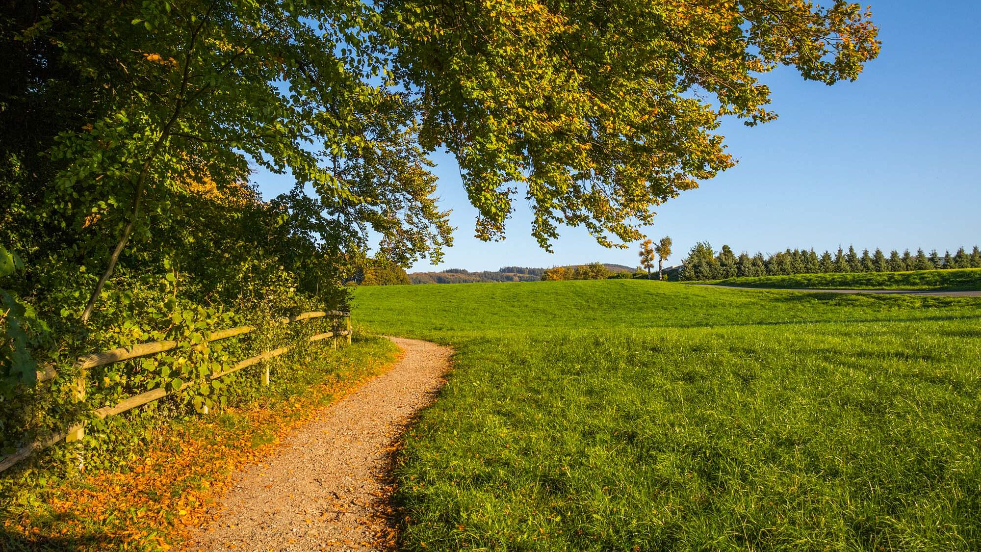 Wanderweg im Märkischen Kreis 