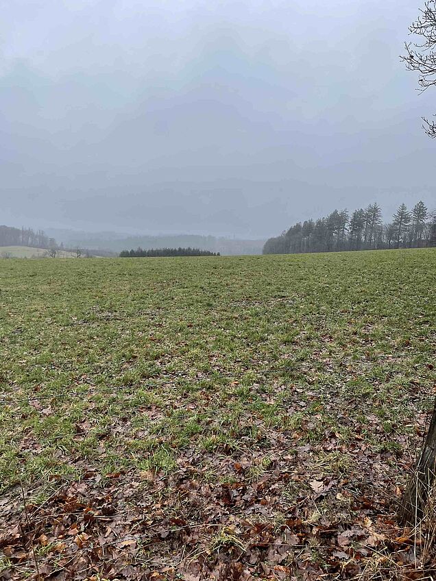 Aussicht Richtung Beckinghausen auf der Fitnesswanderung VolmeSchatz Talsperren