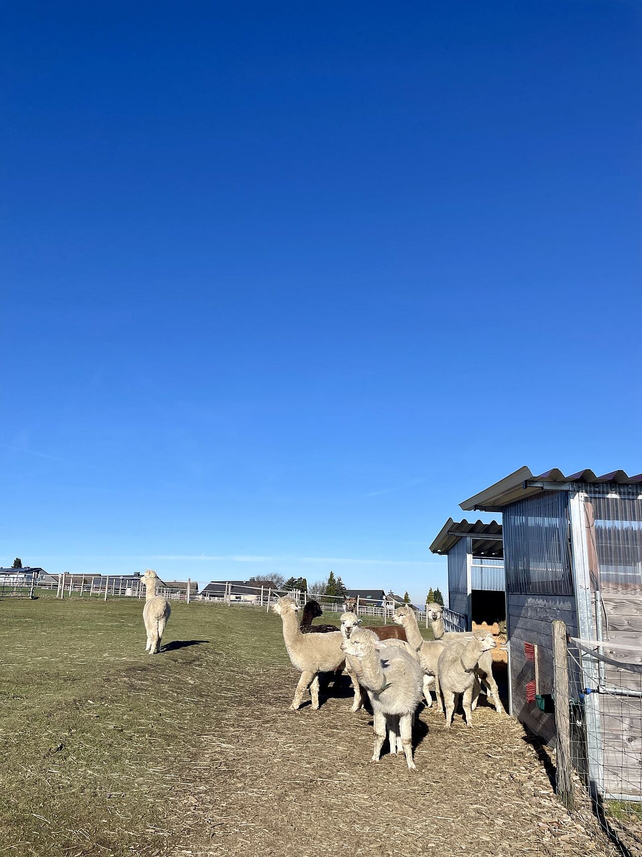 Das Wetter hat uns in die Karten gespielt