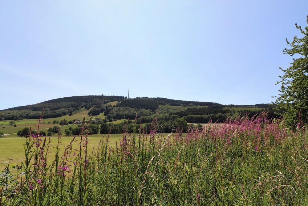 Blick auf die Nordhelle mit Robert-Kolb Turm