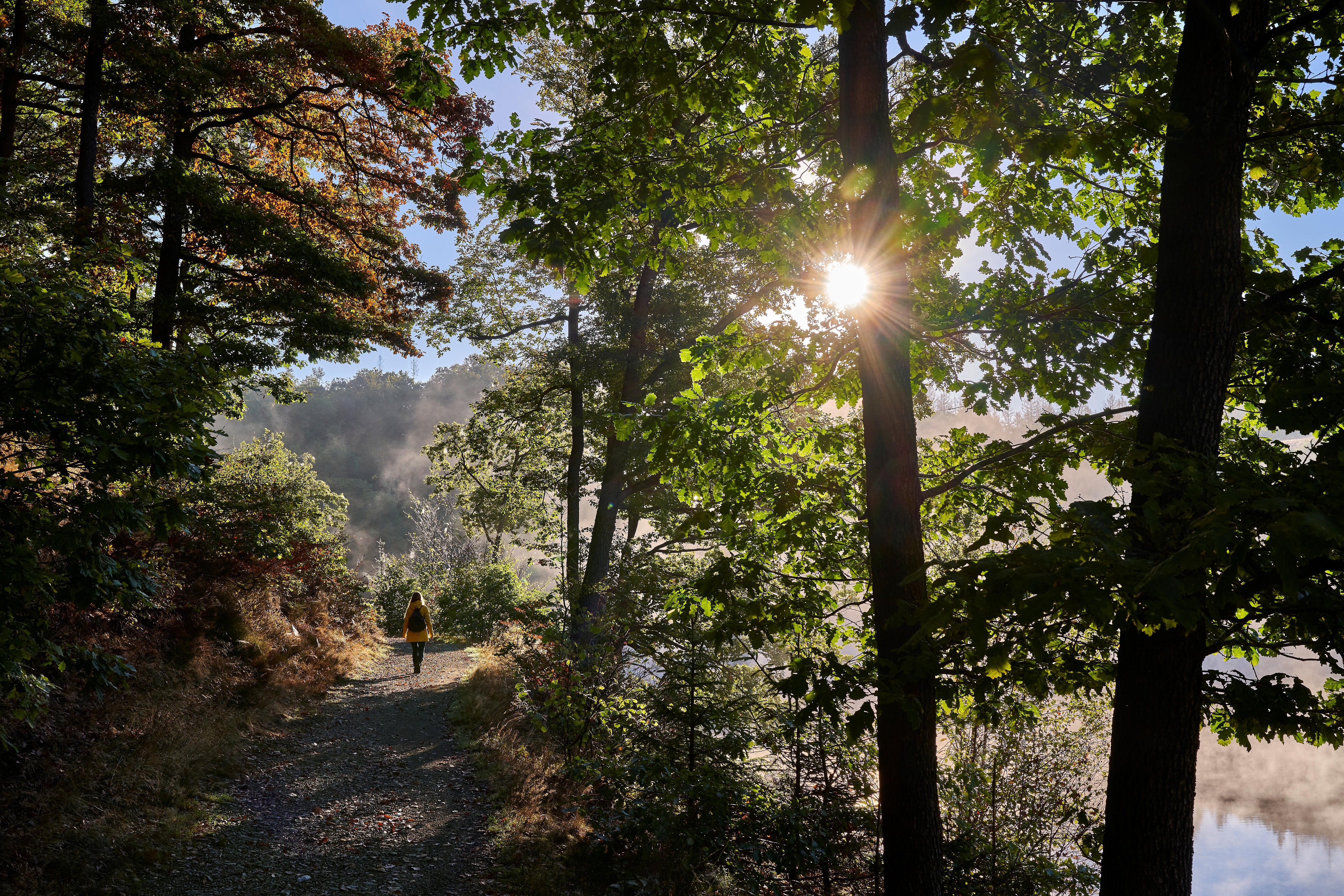 Jubachtalsperre - Wanderweg