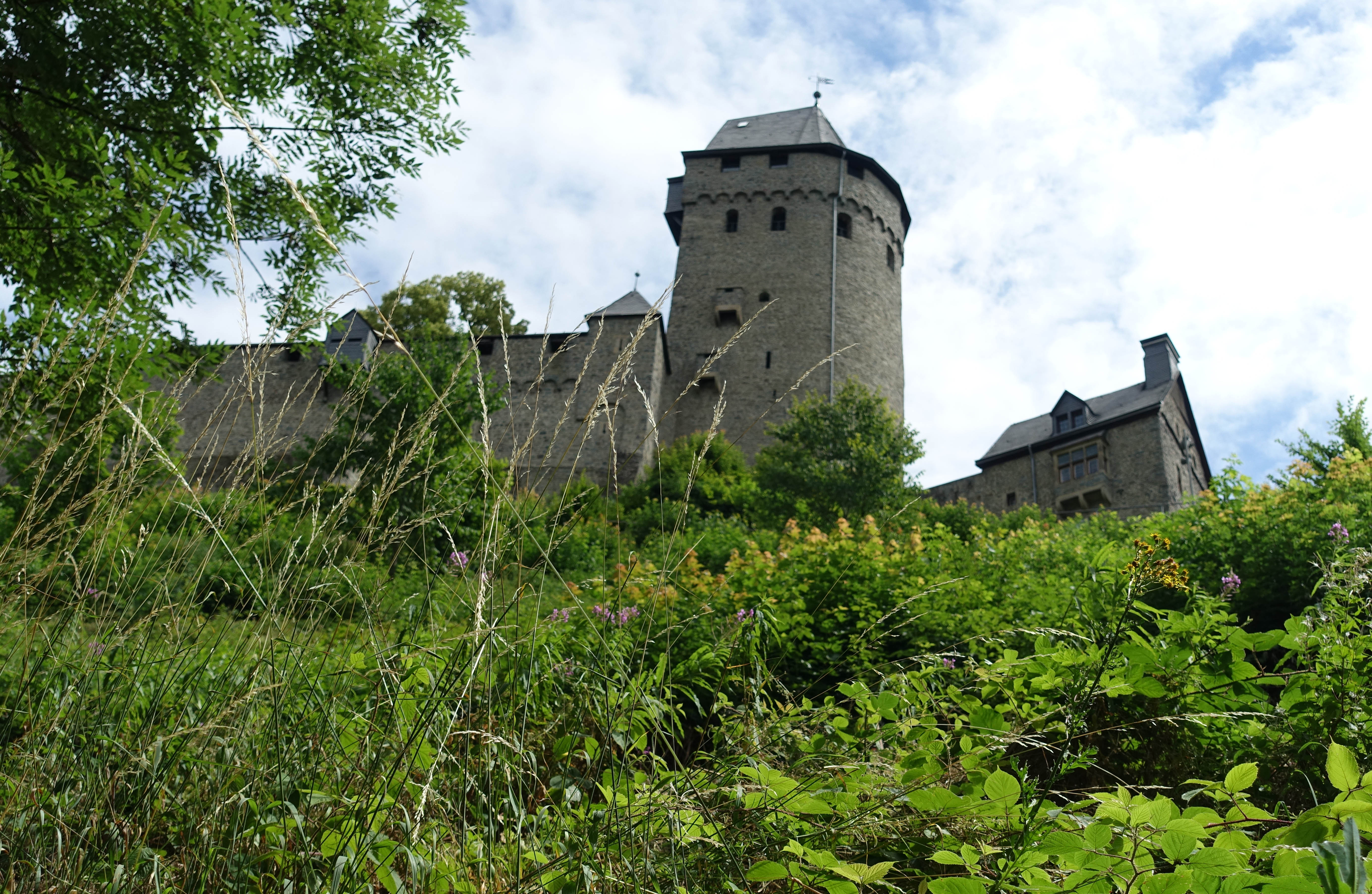 Ansicht Burgberg2022_Lange.jpg