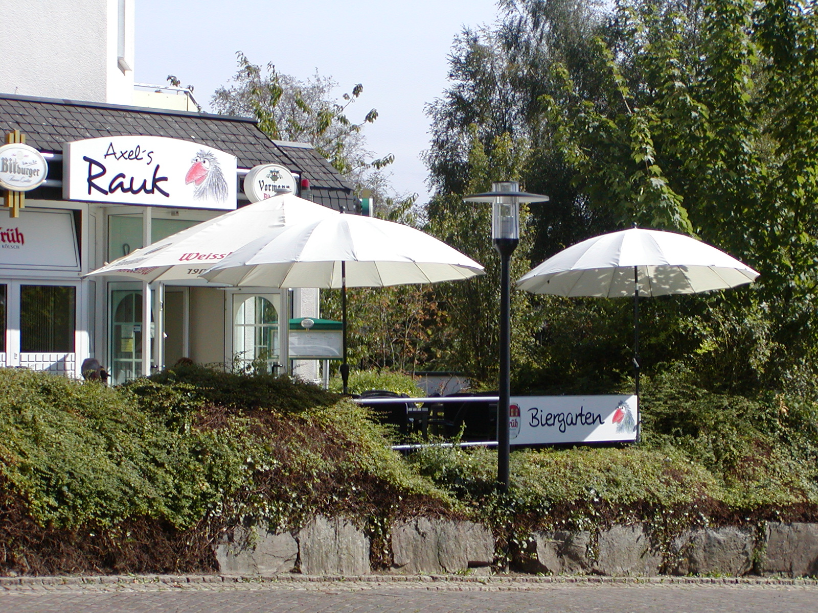 Axels Rauk