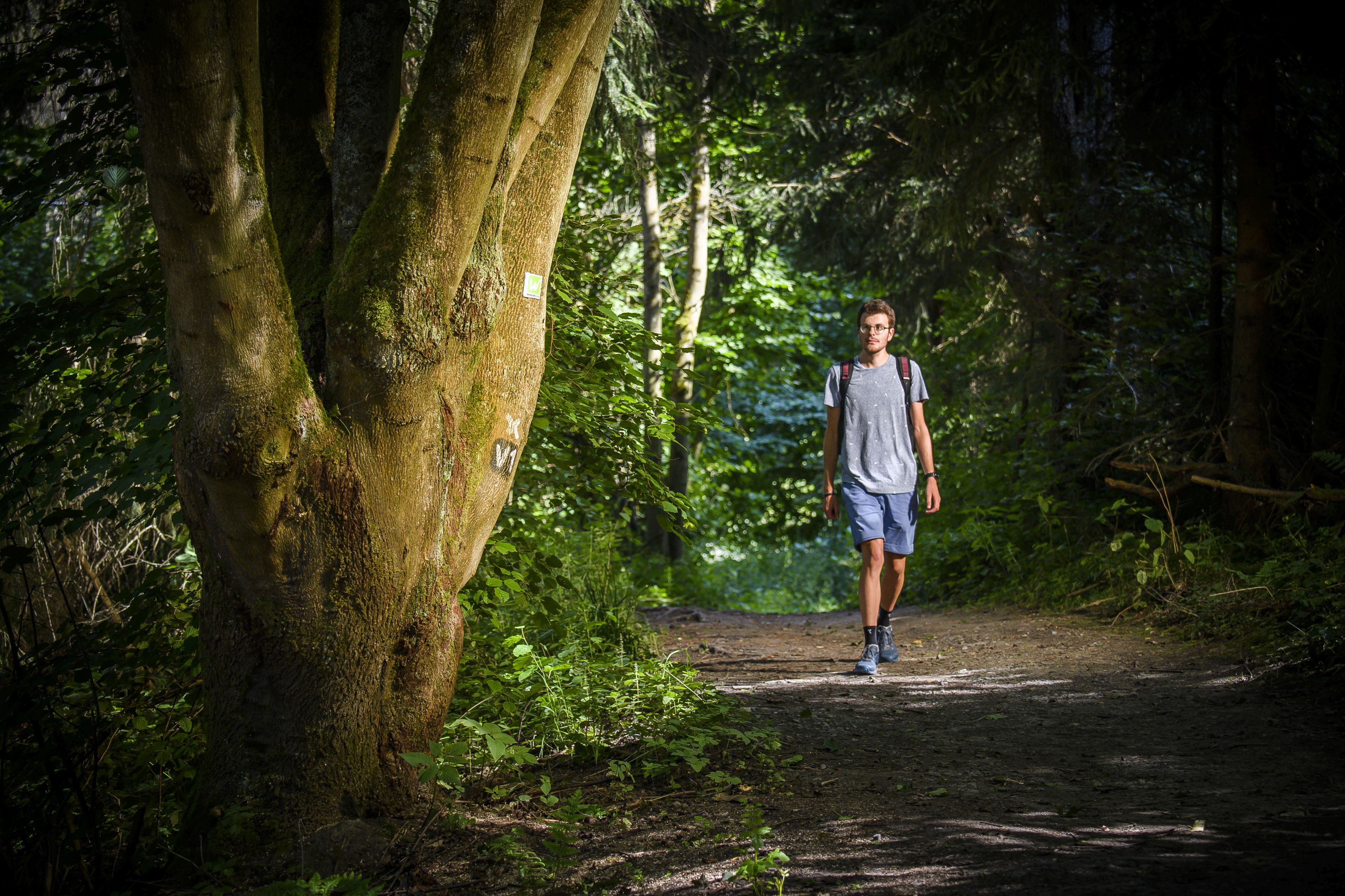 (c) Klaus-Peter Kappest Sauerland-Tourismus e.V.jpg