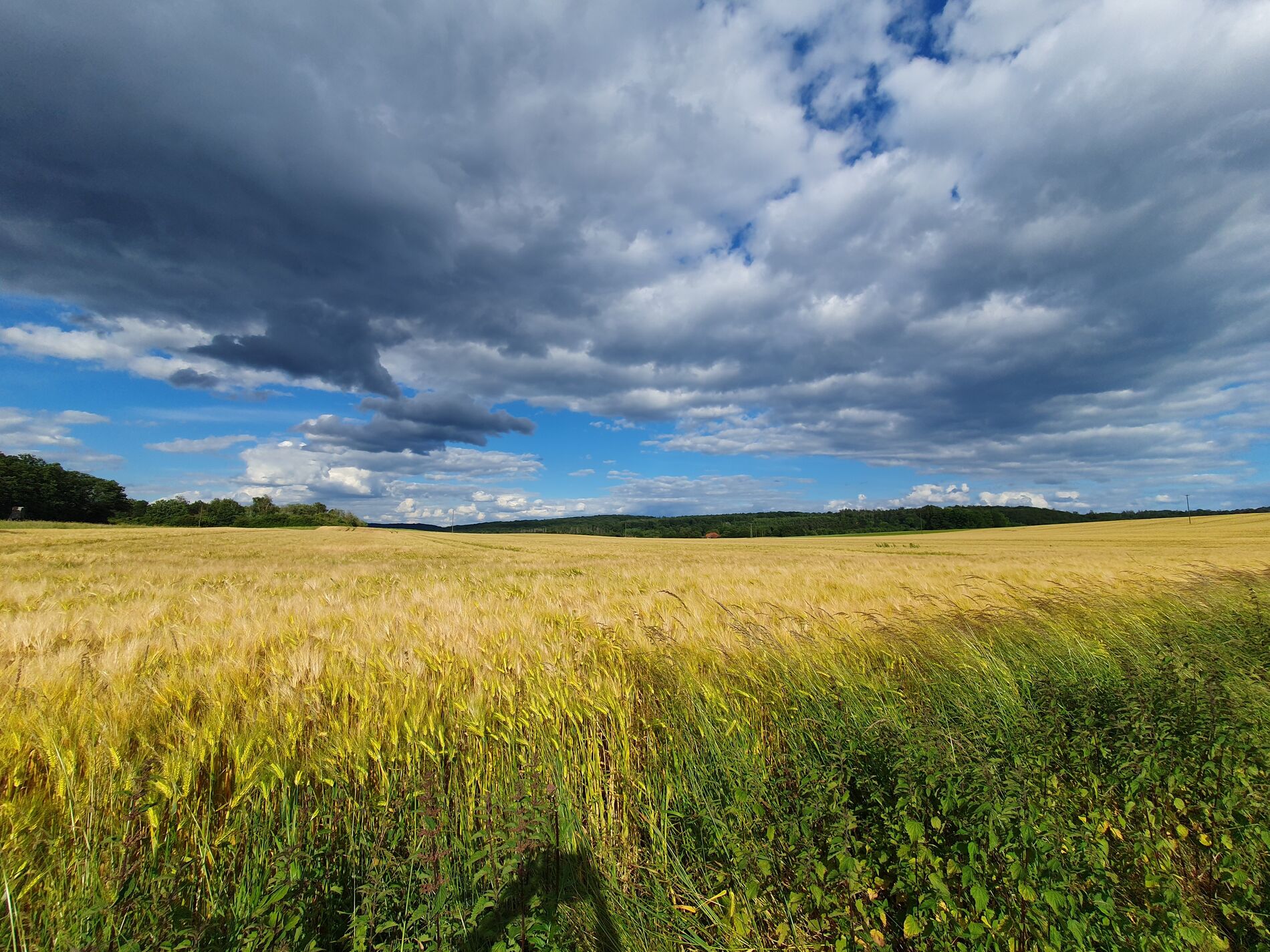 Felder Platte Heide