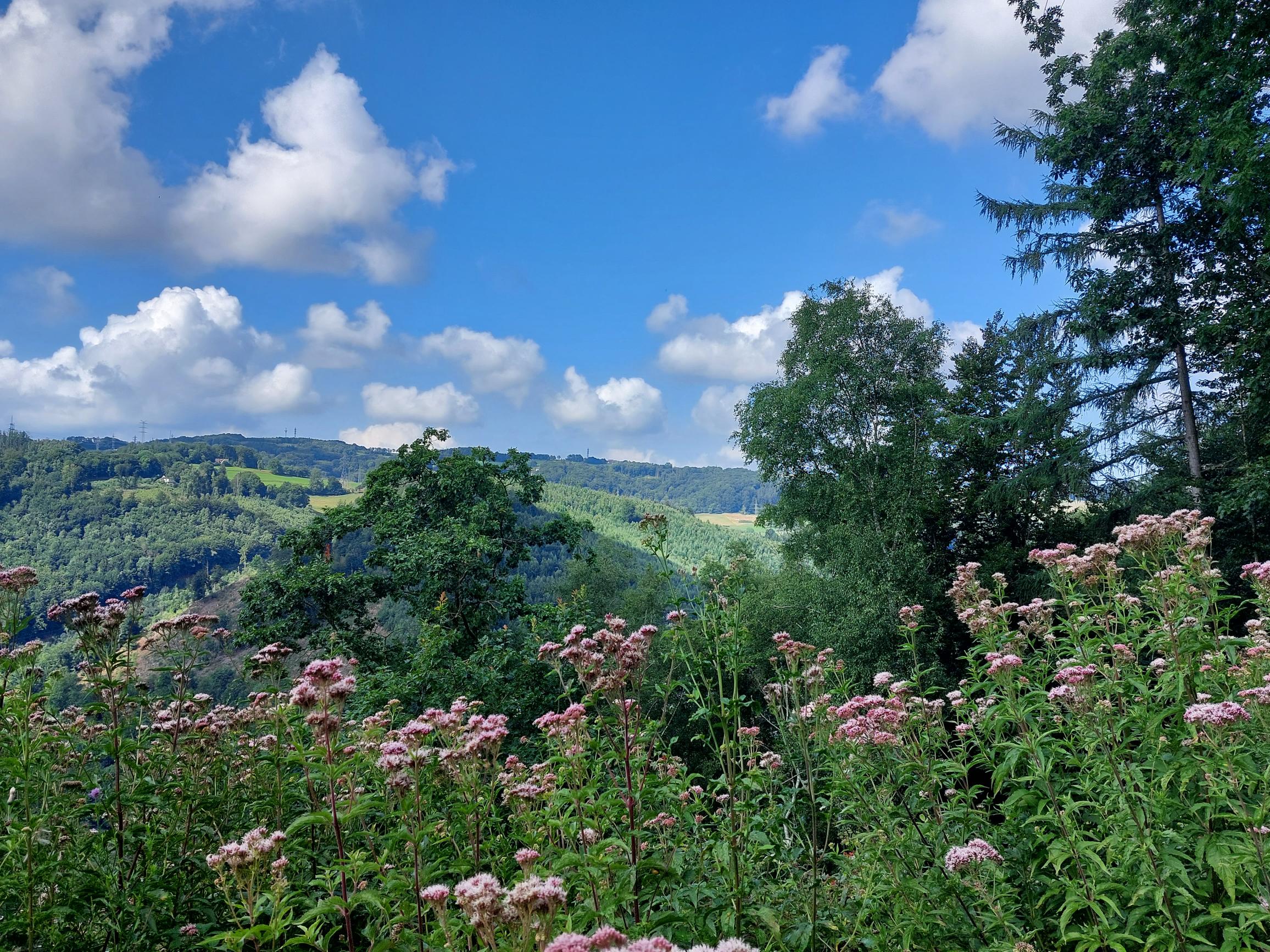 Blick über das Lennetal