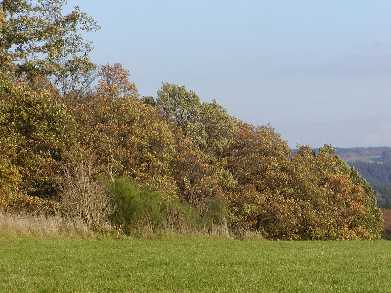 Landschaft