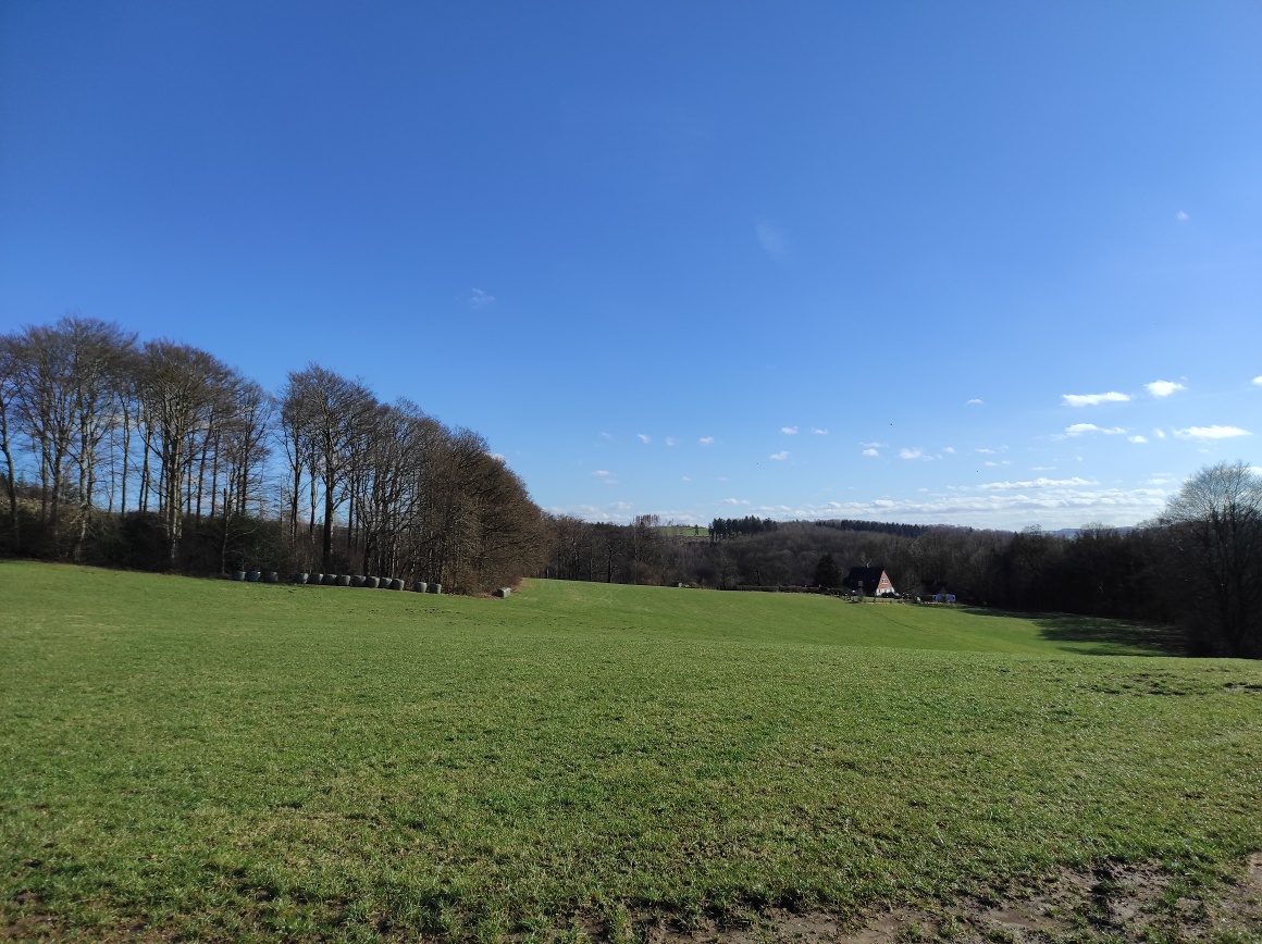 Aussicht über grüne Wiesen