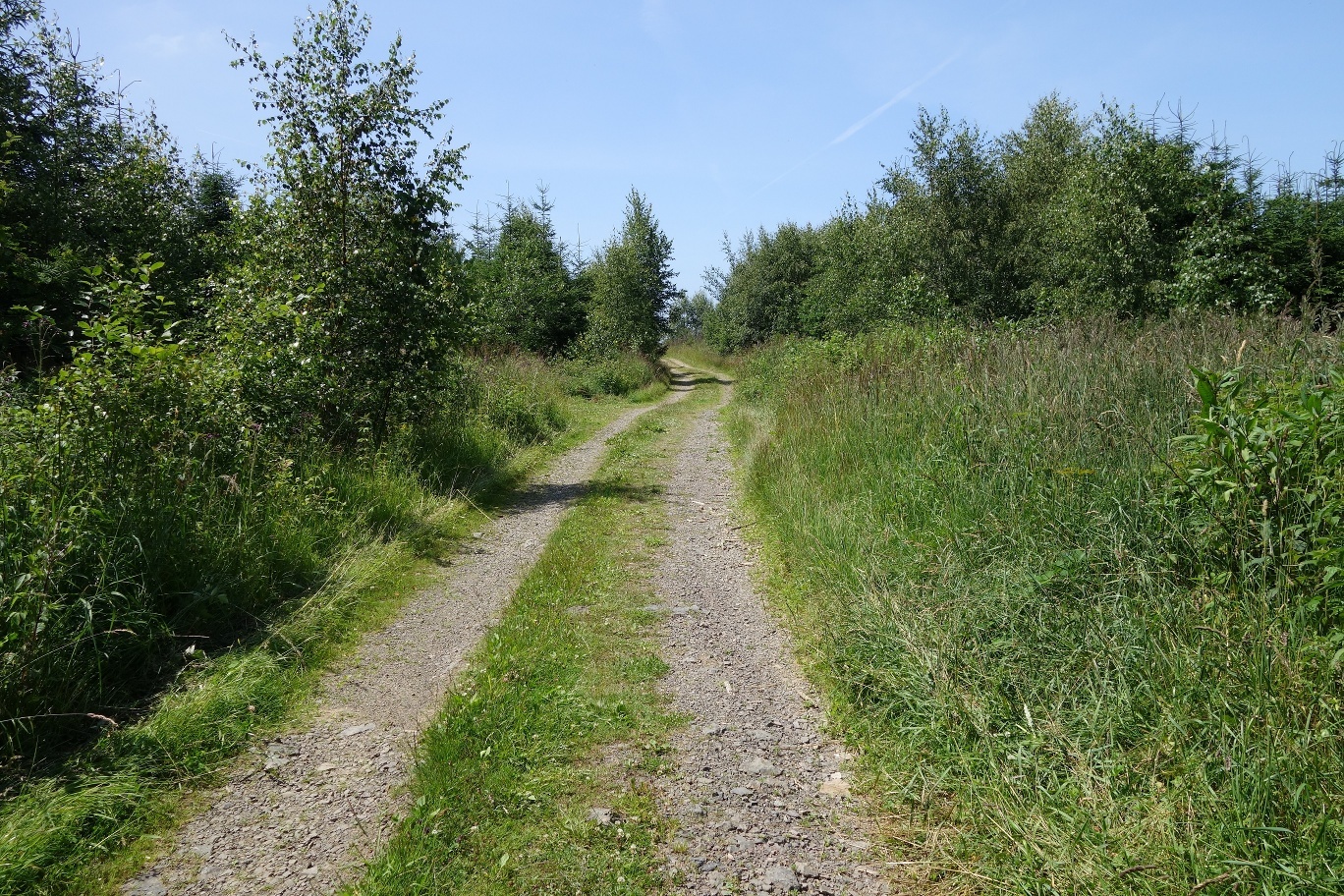 Wegeverlauf über den Wernscheid