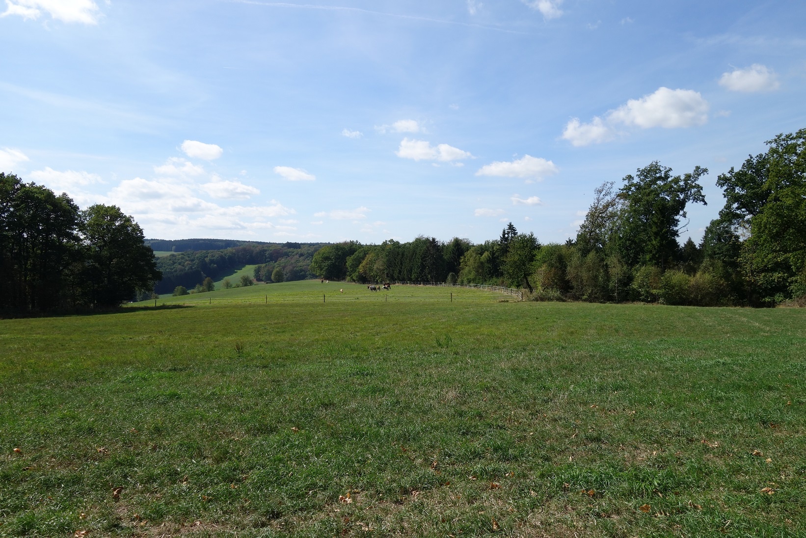 Tolle Fernsicht in Richtung Wienhagen