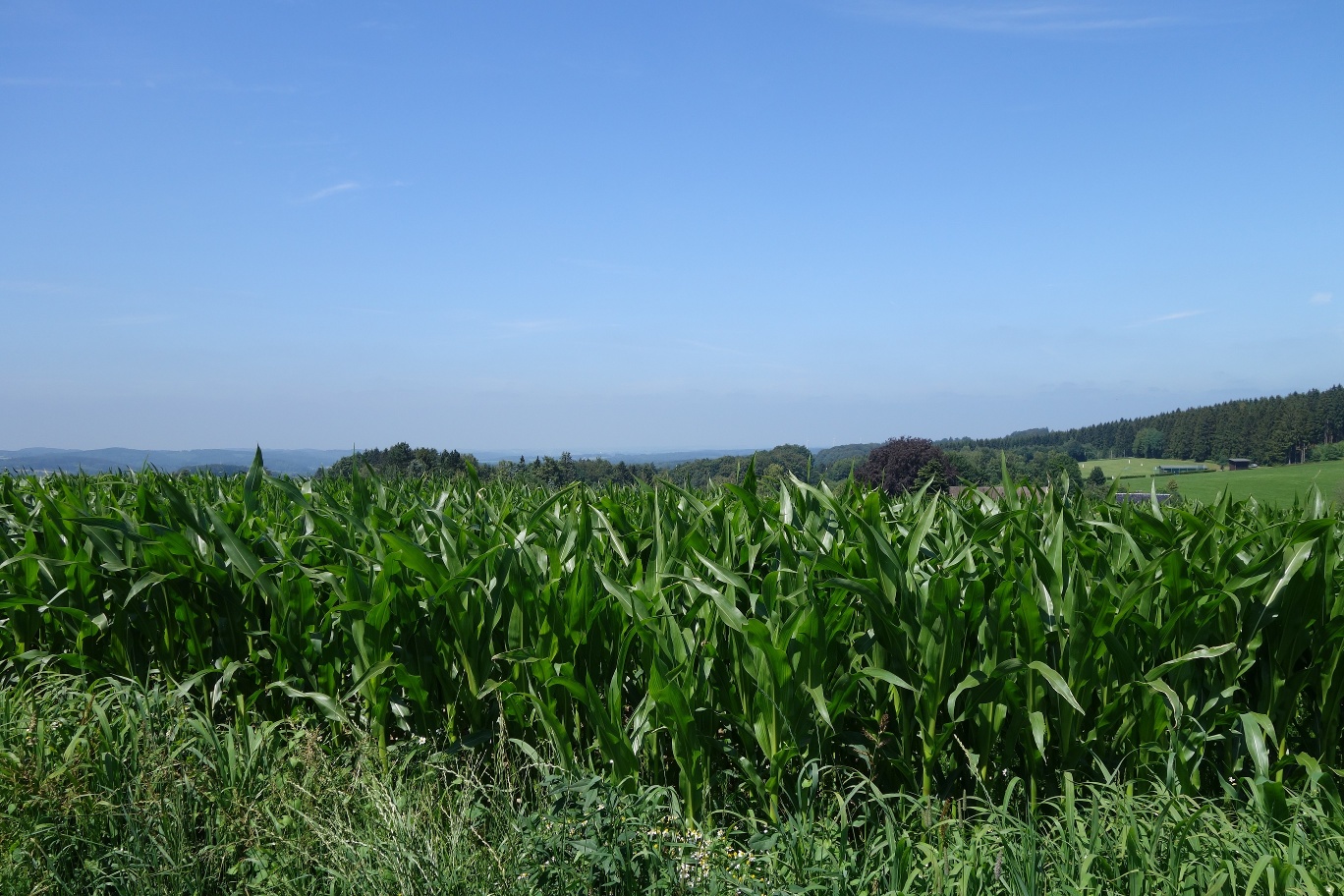 Zu Beginn des Weges gibt es tolle Weitsichten in Richtung Rönsahl zu bestaunen
