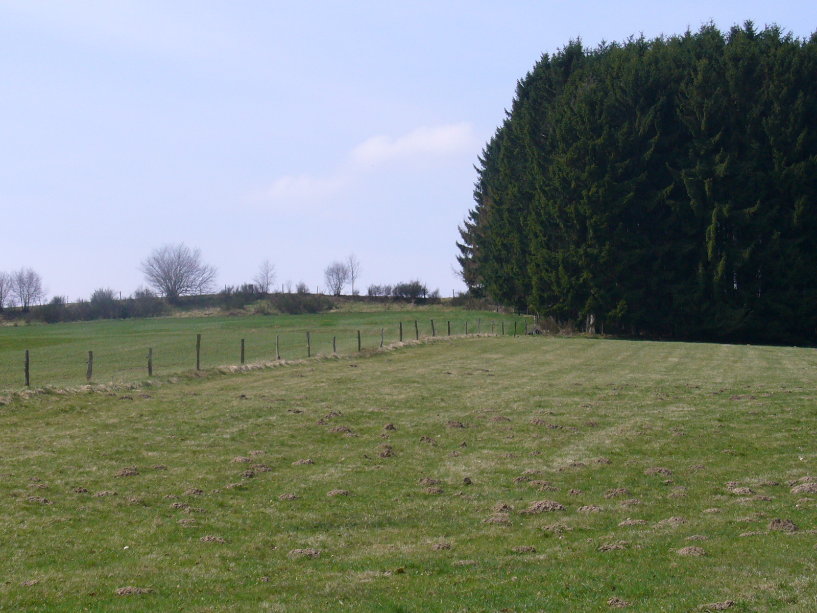 Landschaft Feld